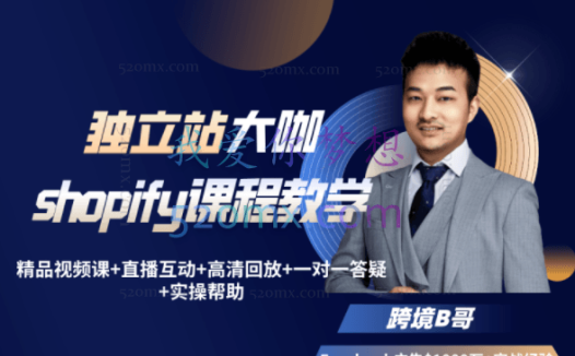 跨境B哥:独立站运营+Facebook广告投放课