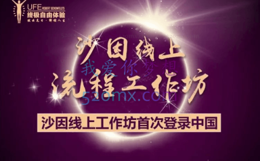 罗伯特.沙因费尔德:沙因 “流程”线上工作坊20讲视频课程 （中文字幕）