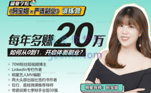 副业学院《阿宝姐×严选副业》训练营12期【Plus版】