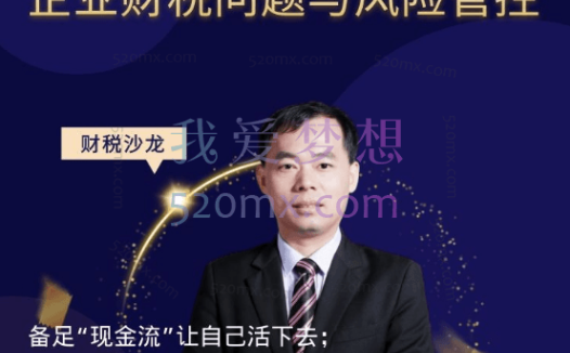 王葆青:企业财税筹划与风险管控,横向打通 财务、税务、股权、法律