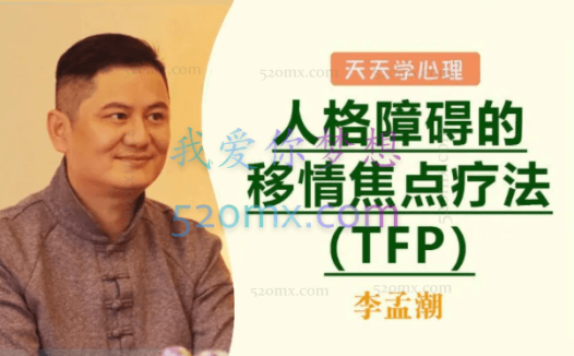李孟潮:学人格障碍的移情焦点疗法(TFP)网课视频录像