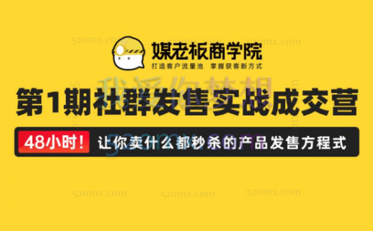 煤老板社群发售实战成交营,秒杀产品发售方程式