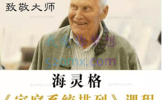 海灵格-台北国际训练营，家庭系统排列视频全集