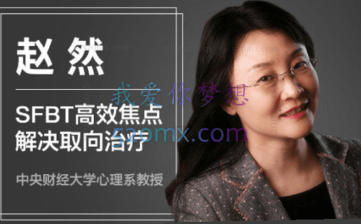 赵然 :于丹妮 (SFBT)高效焦点解决取向治疗课程视频