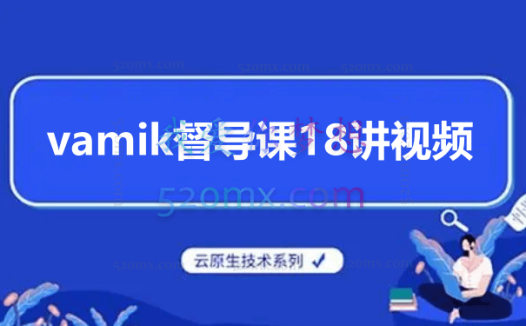 vamik督导课18讲视频