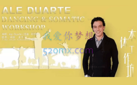 亚雷.杜尔特：本体整合工作坊高清视频录像