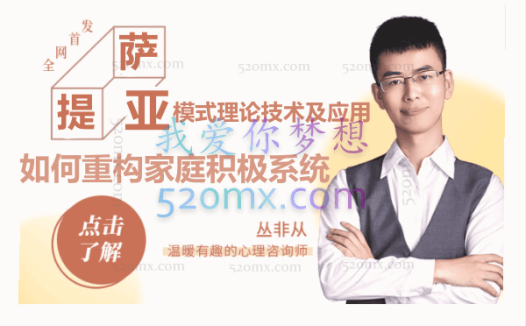 丛非从:萨提亚模式理论技术及应用 如何重构家庭积极系统