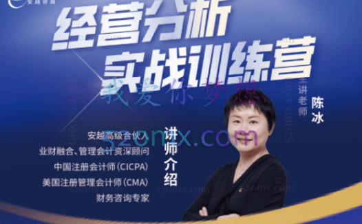 安越咨询陈冰:经营分析实战训练营