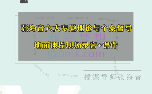 张海音:六大专题理论与个案督导地面课程现场录音+课件