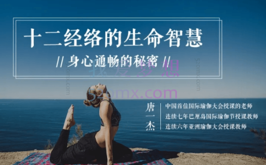 唐一杰：十二经络的生命智慧