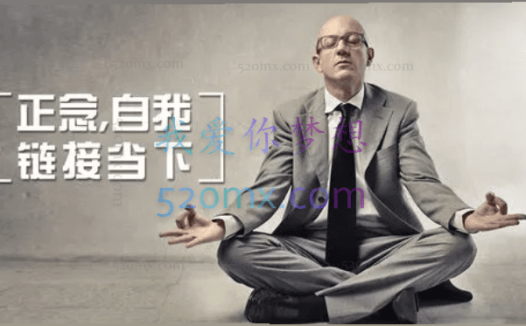 斯蒂文·海斯 :正念,自我链接当下,5集(中文字幕)