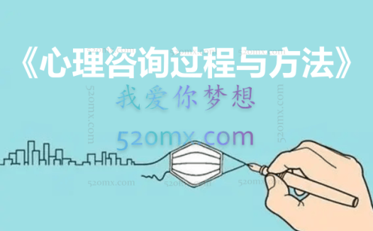 萧文《心理咨询过程与方法》MAP现场课程4天录音