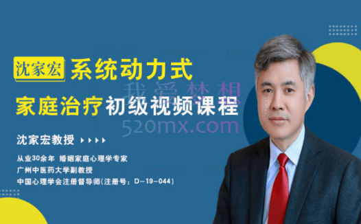 沈家宏系统动力式家庭治疗初级课程30讲