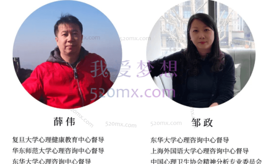 薛伟 邹政:精神动力取向临床病理心理学解析与案例督导课