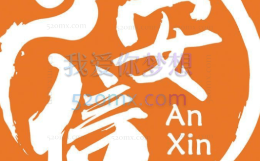 安信选品和付费推广训练营