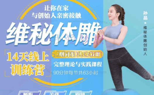 孙晶:维密体雕14天家庭陪训营-极速瘦腿