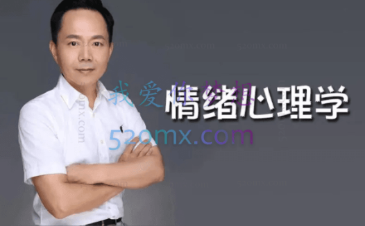 张维扬:咨询室中的情绪与情感