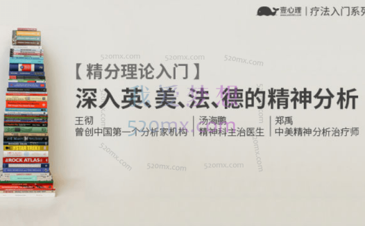 郑禹:美国精分-系统可操作的精分