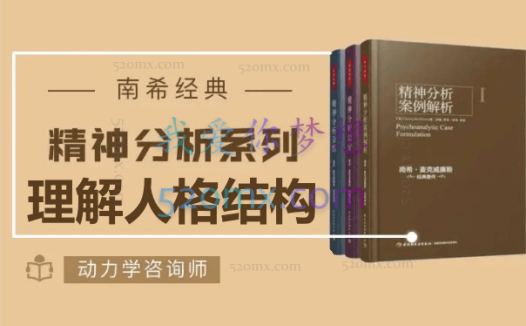 南希经典《精神分析诊断:理解人格结构》动力学咨询师讲读 14讲