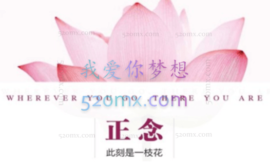 夏鹏【正念-此时是一支花】精读课