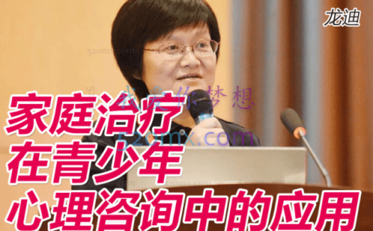 龙迪:家庭治疗在青少年心理咨询中的应用