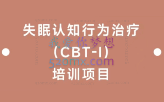 吴家硕:失眠认知行为治疗(CBT-I)案例教学课
