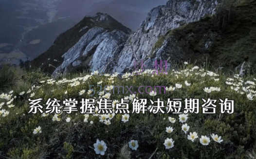 林祺堂:系统掌握焦点解决短期咨询（SFBT） 理论+案例 视频+课件