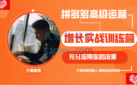 大麦电商说:拼多多单品爆款打造课程
