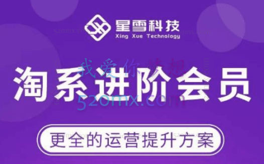星雪教育淘宝进阶课程(2022年最新课)