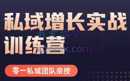 零一私域/馒头商学院:私域增长实战训练营