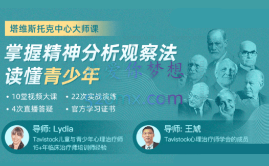 塔维斯托克,莉迪亚、王虓:掌握精神分析观察法读懂青少年