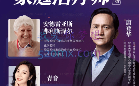 唐登华:家庭治疗师系统认证课程20讲全套【视频+音频+课件】