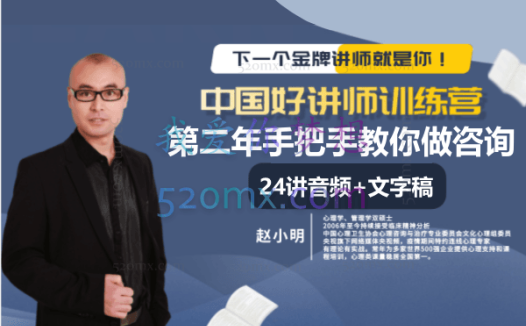 赵小明:第二年手把手教你做咨询 咨询案例课24讲音频+文字稿