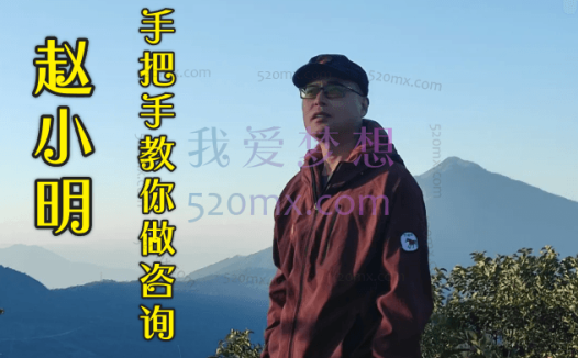 赵小明专业篇:手把手教你做咨询(第三年)