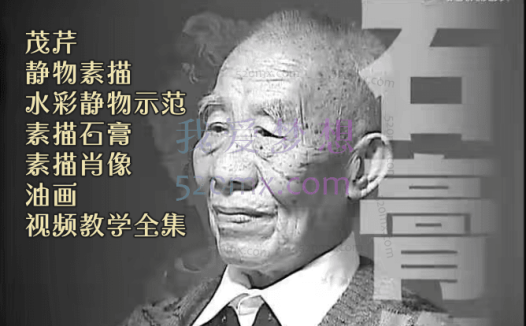 冉茂芹：静物素描_水彩静物示范_素描石膏_素描肖像_油画，视频教学全集