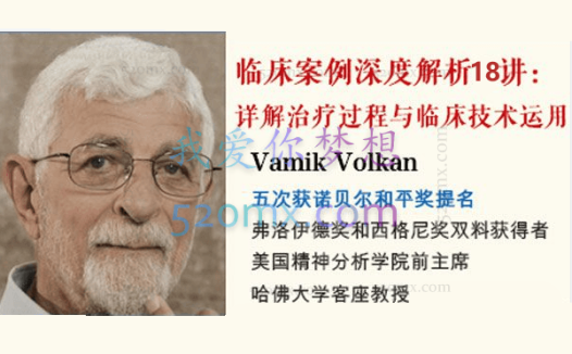 Vamik大师精神分析核心概念与临床技术18讲