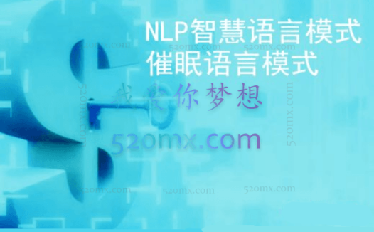 NLP商战智慧:彭浩NLP语言中的财富