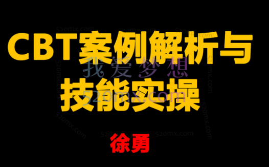徐勇:认知行为治疗(CBT)案例解析与技能实操网络课程30讲视频