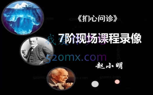 赵小明:扪心问诊7阶现场课程录像