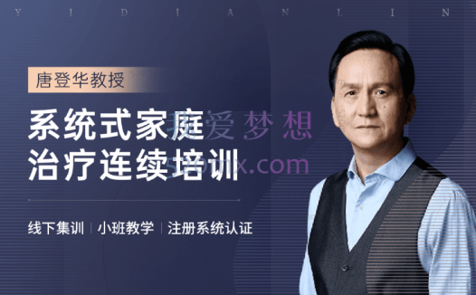 唐登华:地面课家庭治疗师长程系统培训项目四阶段 现场录音+课件