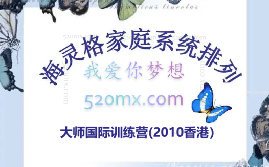 海灵格：大师国际训练营(2010香港）之家族系统排列