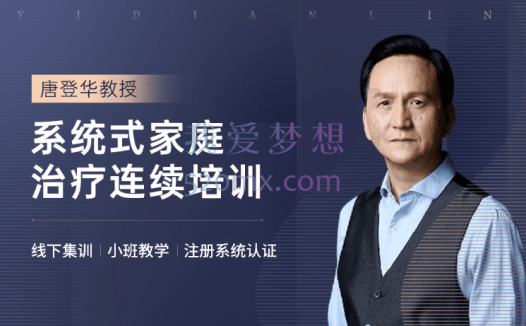 唐登华:家庭治疗师 长程系统培训 微课十讲 录音