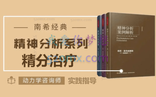 南希经典:精分治疗-实践指导动力学咨询师解读微课8讲