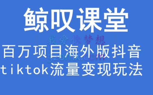 鲸叹号海外TIKTOK训练营（价值1980元）