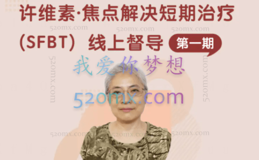 跟许维素系统学习焦点解决短期治疗（SFBT)三阶段9天现场课程录音