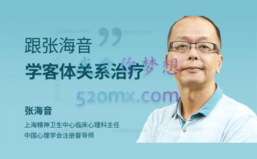 张海音:系统学习精神分析理论之客体关系治疗