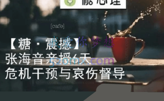 张海音:危机干预与哀伤辅导创伤修复督导 6天现场录音