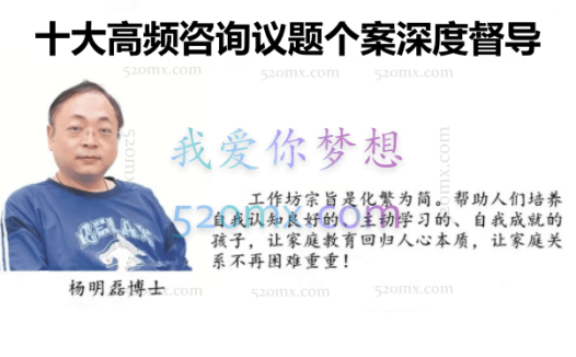 杨明磊：十大高频咨询议题个案深度督导