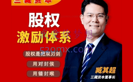 臧其超-股权设计与盈利体系 20节视频