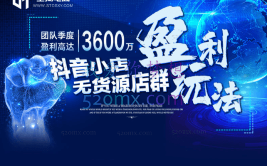 圣淘电商：抖音小店无货源店群盈利玩法系列课（录播十节）